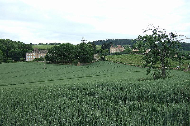 2010-06- (65).JPG